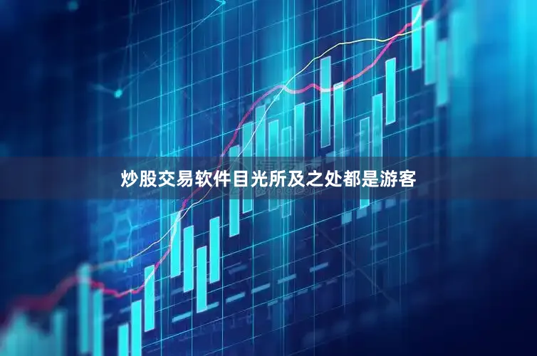 炒股交易软件目光所及之处都是游客