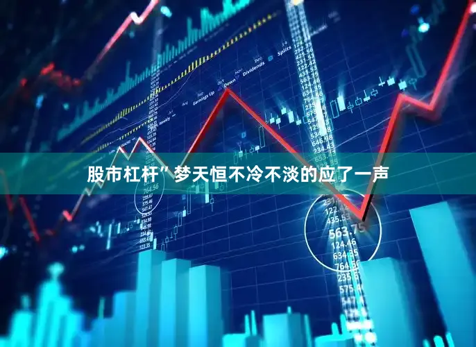 股市杠杆”梦天恒不冷不淡的应了一声