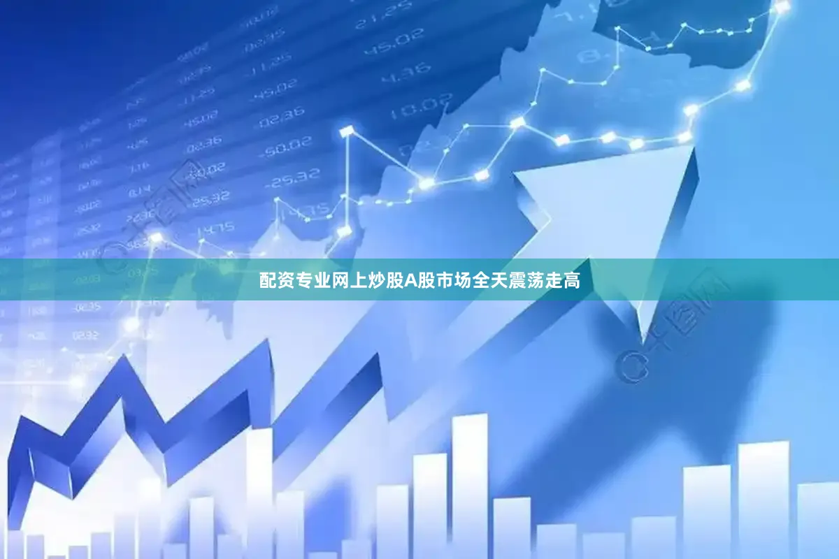 配资专业网上炒股A股市场全天震荡走高