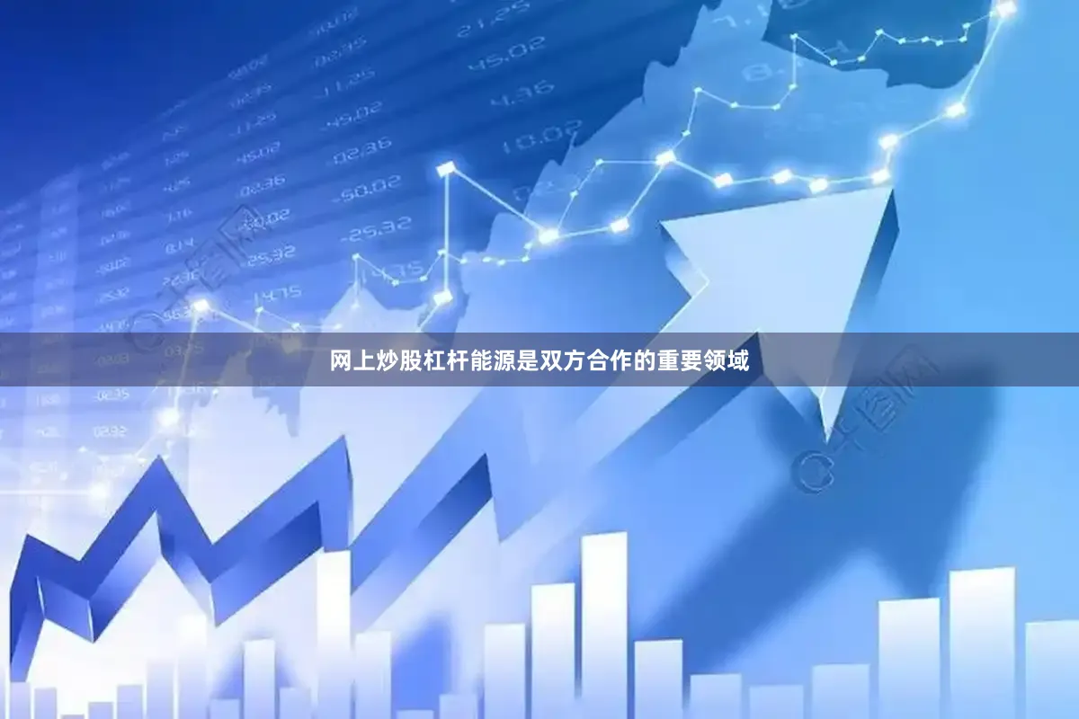 网上炒股杠杆能源是双方合作的重要领域